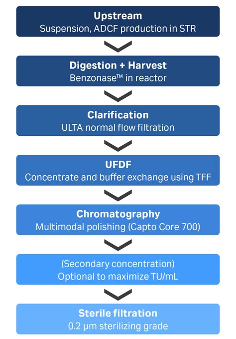 lv clarification|lentiviral vector clarification.